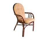 Стул Радуга 04/16 молочный шоколад