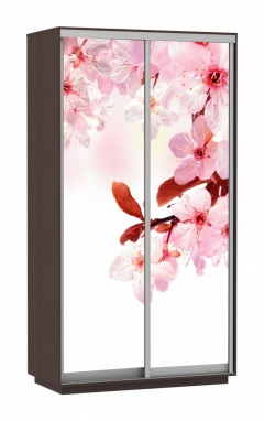 Шкаф-купе двухдверный Е1 Экспресс Дуо 1200х2200h Сакура/Венге
