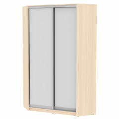 Шкаф-купе Аларти YA-230х1250-1ДМ-D5D5