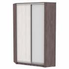 Шкаф-купе Аларти YA-230х1250-4ЯАТ-ЯАС-D6D5