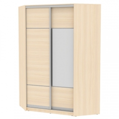 Шкаф-купе Аларти YA-230х1400-718-2ДМ-D4D3