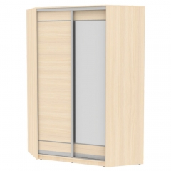 Шкаф-купе Аларти YA-230х1400-718-3ДМ-D1D2