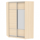 Шкаф-купе Аларти YA-230х1400-718-5ДМ-D4D3