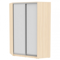 Шкаф-купе Аларти YA-230х1400-718-5ДМ-D5D5