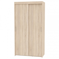 Шкаф-купе Аларти T-1-230х120х45ДСС-2