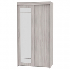 Шкаф-купе Аларти T-1-230х120х45-MЯШС-1