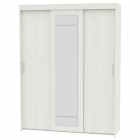 Шкаф-купе Аларти T-3-230х175х45-MВД-1