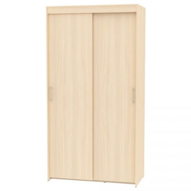 Шкаф-купе Аларти T-1-230х120х60ДМ-3