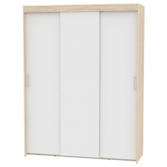 Шкаф-купе Аларти T-3-230х175х60ДСС-Белый-3