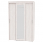 Шкаф-купе Аларти T-3-230х145х60-MЯАС-12