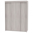 Шкаф-купе Аларти T-3-198х145х60ЯШС-3