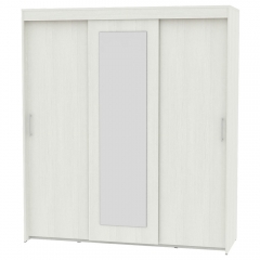 Шкаф-купе Аларти T-3-198х175х60-MВД-1