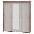 Шкаф-купе Аларти T-3-198х175х60-MЯШТ-ЯШС-10