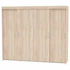 Шкаф-купе Аларти T-5-198х235х45ДСС-9