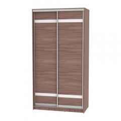 Шкаф-купе Аларти B-230х120х60-2ЯШТ-D9D9