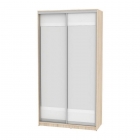 Шкаф-купе Аларти B-230х120х60-2ДСС-Белый-D10D10