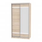 Шкаф-купе Аларти B-230х120х60-2ДСС-D9D10