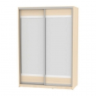 Шкаф-купе Аларти B-230х160х60-1ДМ-D10D10
