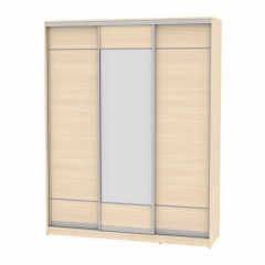 Шкаф-купе Аларти B-230х180х60-1ДМ-D7D8D7