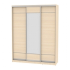 Шкаф-купе Аларти B-230х180х60-2ДМ-D7D8D7