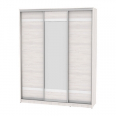 Шкаф-купе Аларти B-230х180х60-2ЯАС-D9D10D9