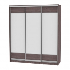 Шкаф-купе Аларти B-230х200х60-2ЯАТ-D8D8D8
