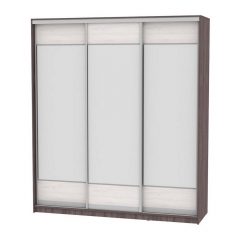 Шкаф-купе Аларти B-230х200х60-2ЯАТ-ЯАС-D8D8D8