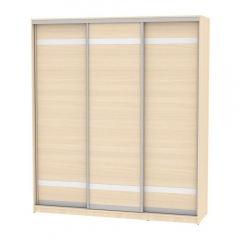 Шкаф-купе Аларти B-230х200х60-2ДМ-D9D9D9