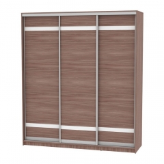 Шкаф-купе Аларти B-230х200х60-2ЯШТ-D9D9D9