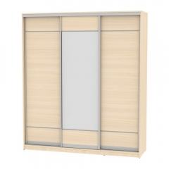 Шкаф-купе Аларти B-230х200х60-2ДМ-D7D8D7