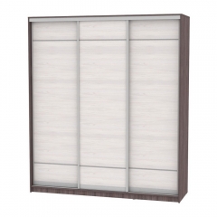 Шкаф-купе Аларти B-230х200х60-3ЯАТ-ЯАС-D7D7D7