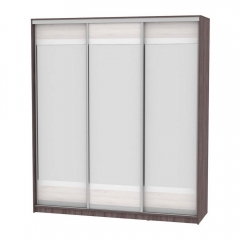 Шкаф-купе Аларти B-230х200х60-3ЯАТ-ЯАС-D10D10D10