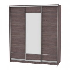 Шкаф-купе Аларти B-230х200х60-3ЯАТ-D7D8D7