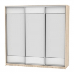 Шкаф-купе Аларти B-230х235х60-1ДСС-Белый-D8D8D8