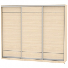 Шкаф-купе Аларти B-230х270х60-1ДМ-D7D7D7