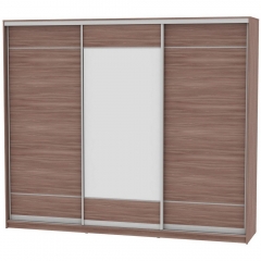 Шкаф-купе Аларти B-230х270х60-1ЯШТ-D7D8D7