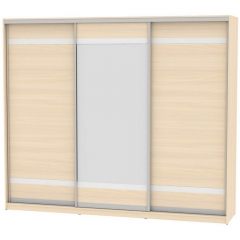 Шкаф-купе Аларти B-230х270х60-1ДМ-D9D10D9