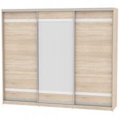 Шкаф-купе Аларти B-230х270х60-3ДСС-D9D10D9