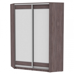 Шкаф-купе Аларти YA-198х1250-1ЯАТ-D2D2