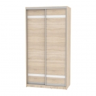 Шкаф-купе Аларти B-220х120х60-1ДСС-D9D9