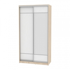 Шкаф-купе Аларти B-220х120х60-2ДСС-Белый-D9D10