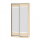Шкаф-купе Аларти B-220х120х60-3ДМ-D10D10