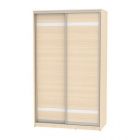 Шкаф-купе Аларти B-220х135х60-2ДМ-D9D9