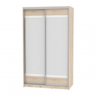 Шкаф-купе Аларти B-220х135х60-2ДСС-D10D10