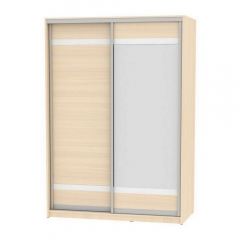 Шкаф-купе Аларти B-220х160х60-1ДМ-D9D10