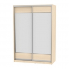 Шкаф-купе Аларти B-220х160х60-2ДМ-D8D8