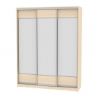 Шкаф-купе Аларти B-220х180х60-2ДМ-D8D8D8