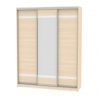 Шкаф-купе Аларти B-220х180х60-3ДМ-D9D10D9