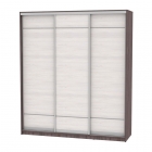 Шкаф-купе Аларти B-220х200х60-2ЯАТ-ЯАС-D7D7D7