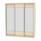 Шкаф-купе Аларти B-220х200х60-2ДМ-D8D8D8